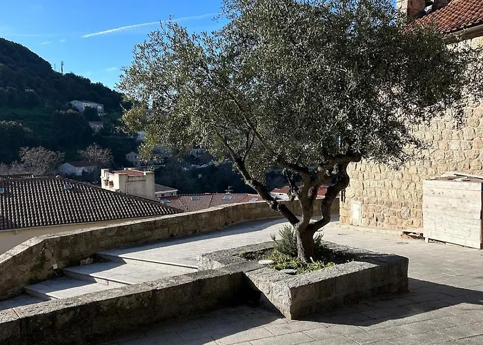 Apartment Jolie Au Coeur De La *